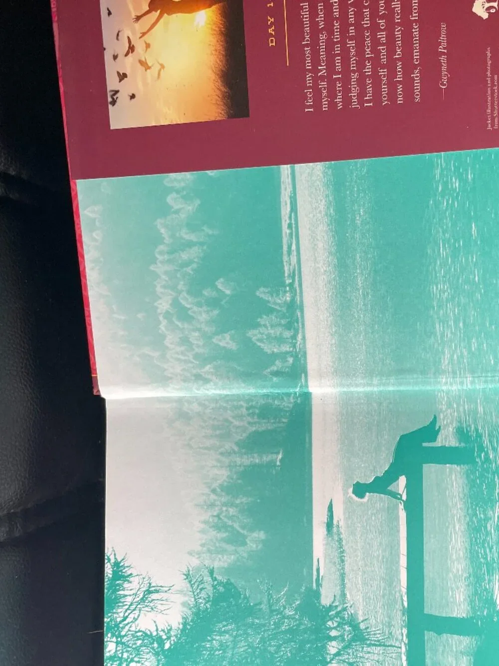 Daily Mindfulness: 365 Days of Present, Calm, Exquisite Living Hardcover